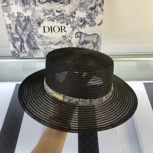 Dior Hats AAA-041
