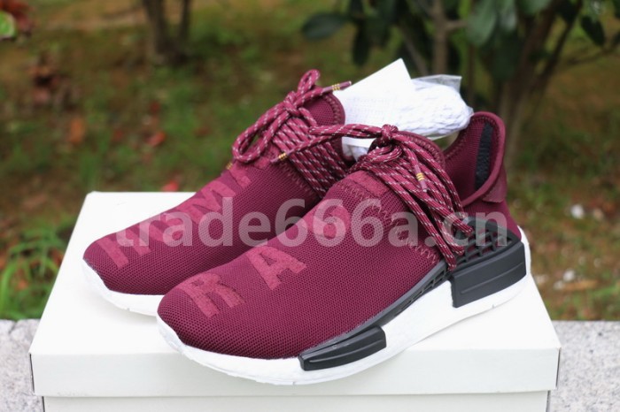 Authentic AD Human Race NMD x Pharrell Williams Purple
