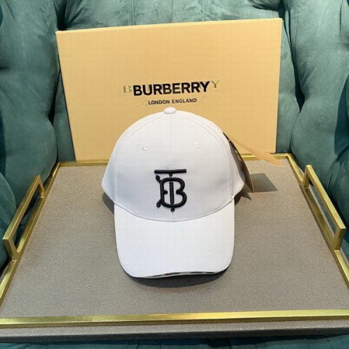 Burrerry Hats AAA-302