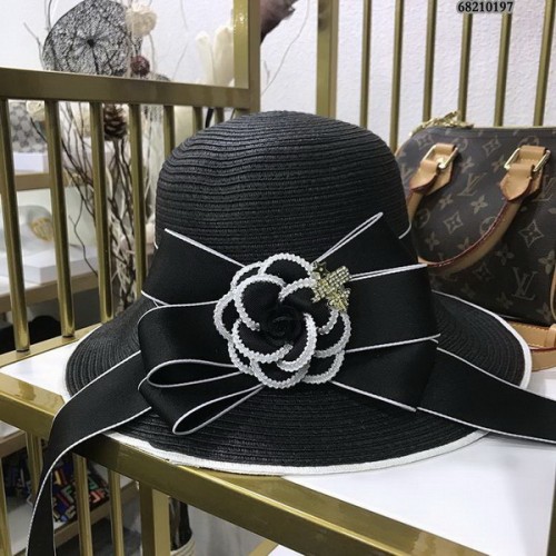 Dior Hats AAA-501
