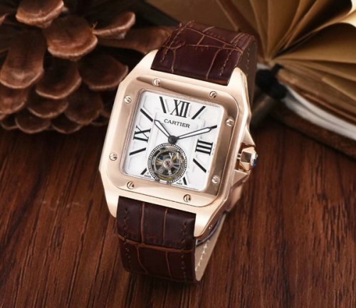 Cartier Watches-599