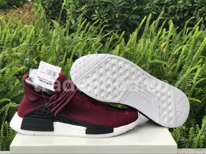 Authentic AD Human Race NMD x Pharrell Williams Purple