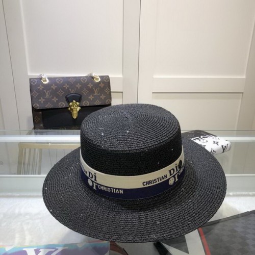 Dior Hats AAA-494