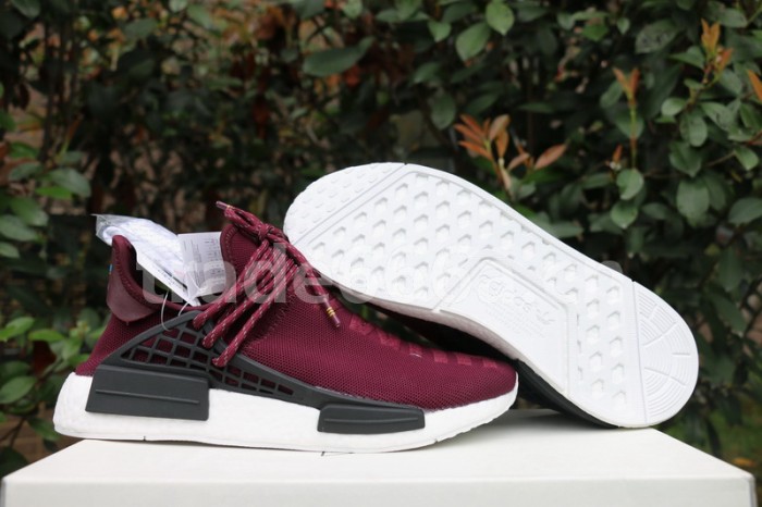 Authentic AD Human Race NMD x Pharrell Williams Purple