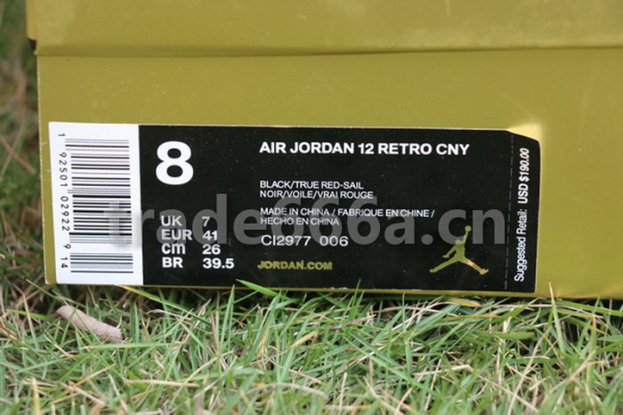 Authentic Air Jordan 12 “CNY” 2019