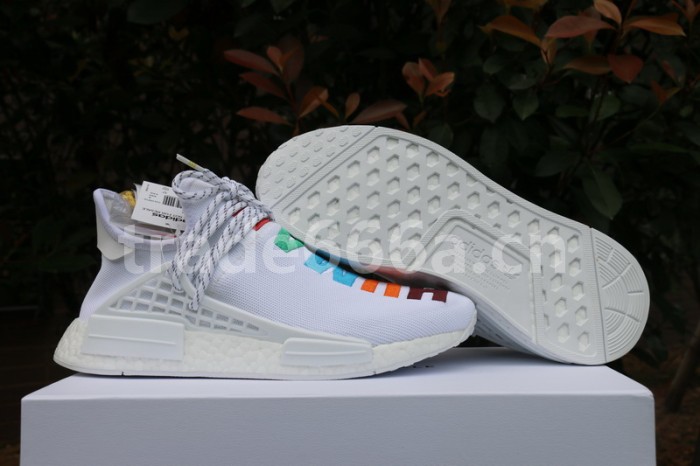 Authentic AD Human Race NMD x Pharrell Williams White