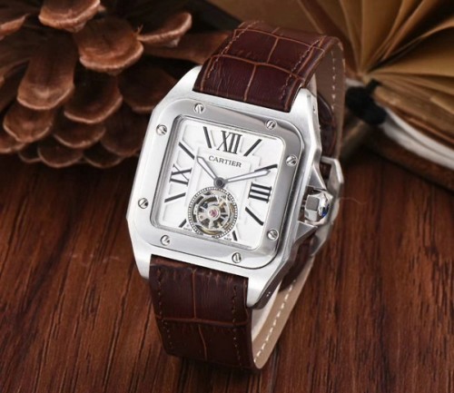 Cartier Watches-597