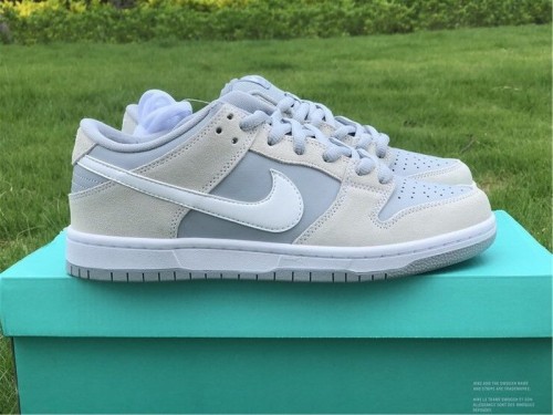 Authentic Nike Dunk SB Low TRD AR0778-110