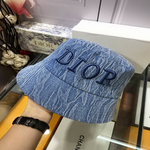 Dior Hats AAA-495