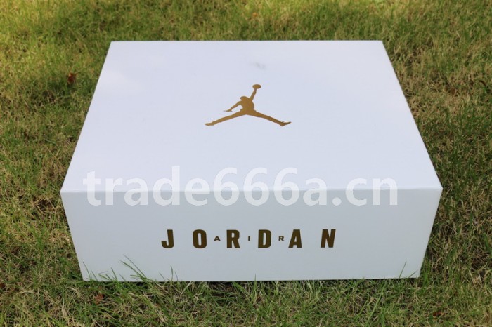 Authentic Air Jordan 6 Pinnacle “Gold”