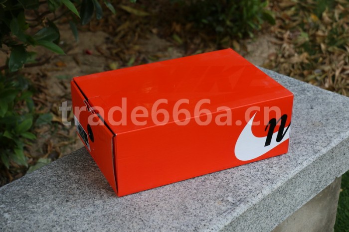 Authentic Nike Sacai x Bape Shoes