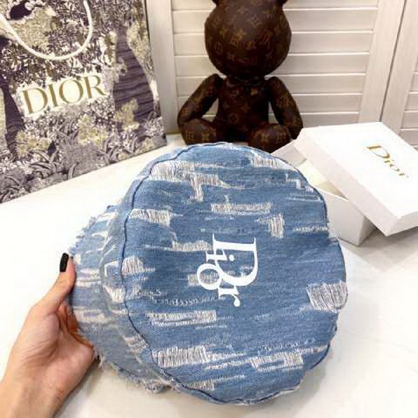 Dior Hats AAA-238