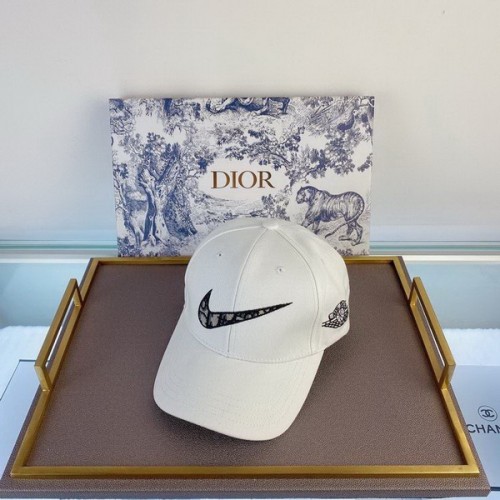 Dior Hats AAA-095