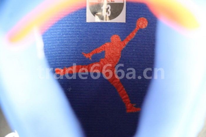 Authentic Air Jordan 4 PE Florida Gators