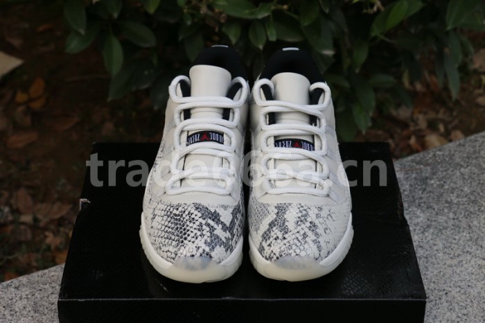 Authentic Air Jordan 11 Low SE “Snakeskin”