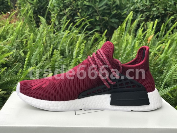 Authentic AD Human Race NMD x Pharrell Williams Purple