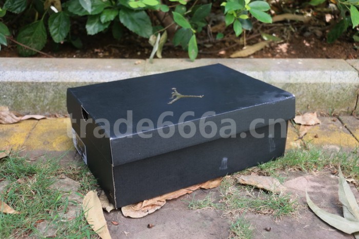 Authentic Air Jordan 1 Low CJ4152-101