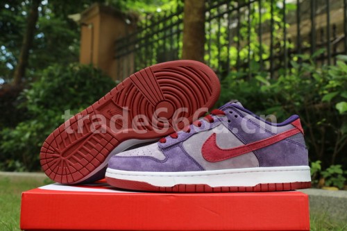 Authentic Nike Dunk Low “Plum” GS