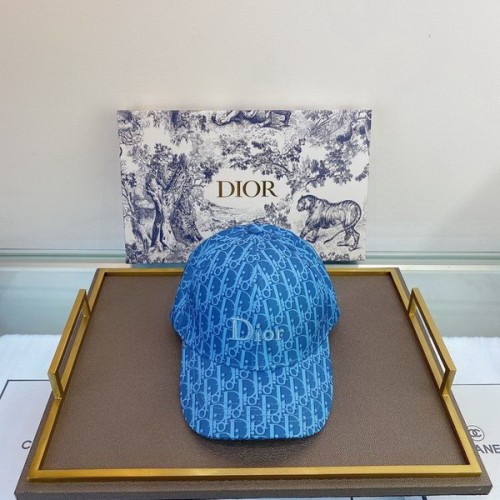 Dior Hats AAA-093