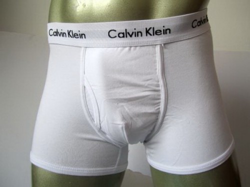 CK underwear-100(M-XL)