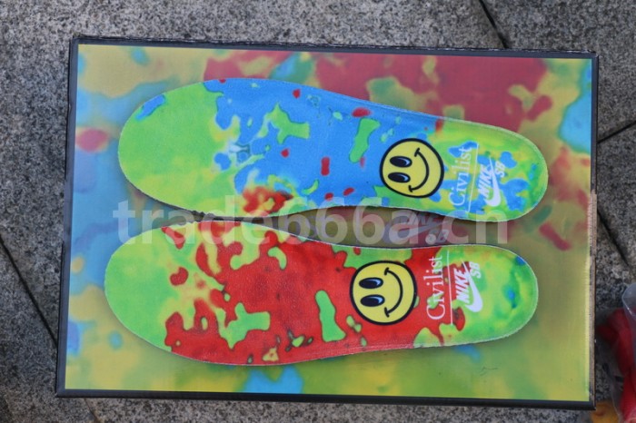 Authentic Civilist x Nike SB Dunk Low