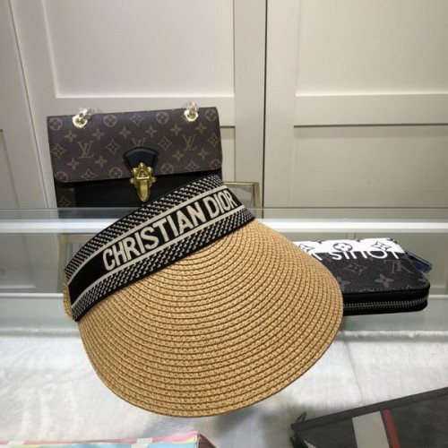 Dior Hats AAA-541