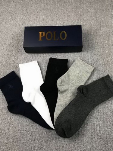 POLO Socks-005