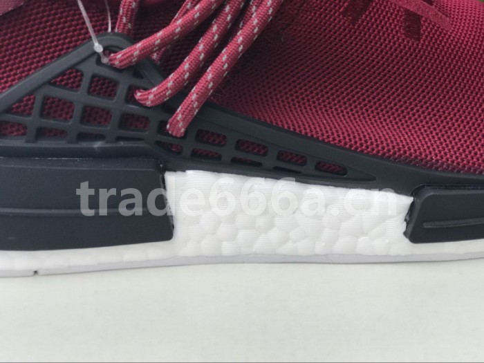 Authentic AD Human Race NMD x Pharrell Williams Purple