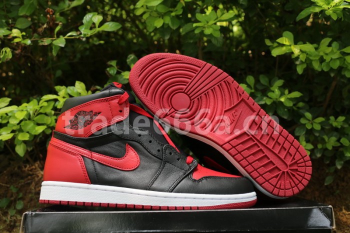 Air Jordan 1 Banned