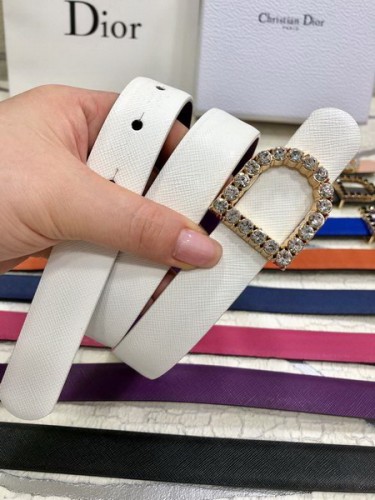 Super Perfect Quality Dior Belts(100% Genuine Leather,steel Buckle)-261