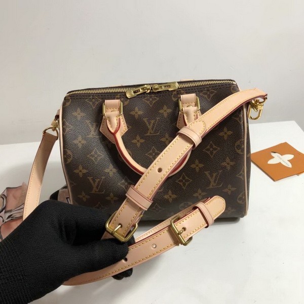 LV Hangbags AAA-313