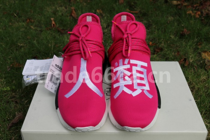 Authentic AD Human Race NMD x Pharrell Williams Pink
