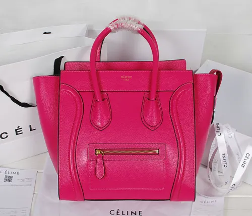 Celine handbags AAA-234