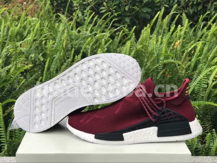 Authentic AD Human Race NMD x Pharrell Williams Purple
