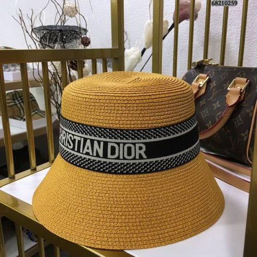 Dior Hats AAA-528