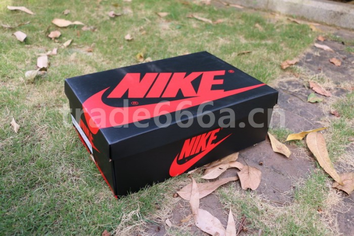 Authentic Air Jordan 1 Hi 85“New Beginings”