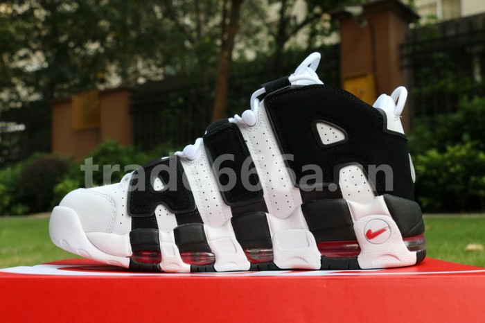 Authentic Air More Uptempo “Scottie Pippen” PE