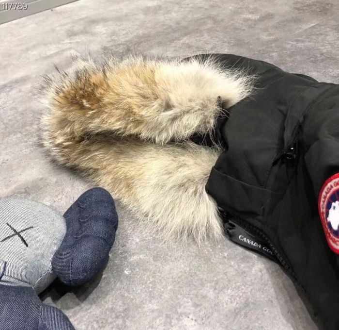 CG Down Jacket men-498