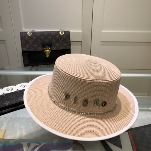 Dior Hats AAA-529