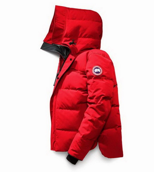 CG Down Jacket men-466