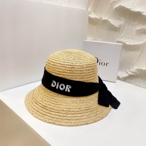 Dior Hats AAA-491
