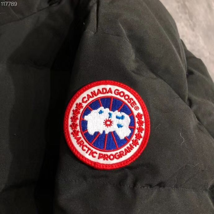CG Down Jacket men-498