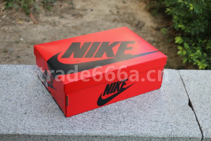 Authentic Facetasm x Air Jordan 1 Mid “Fearless”