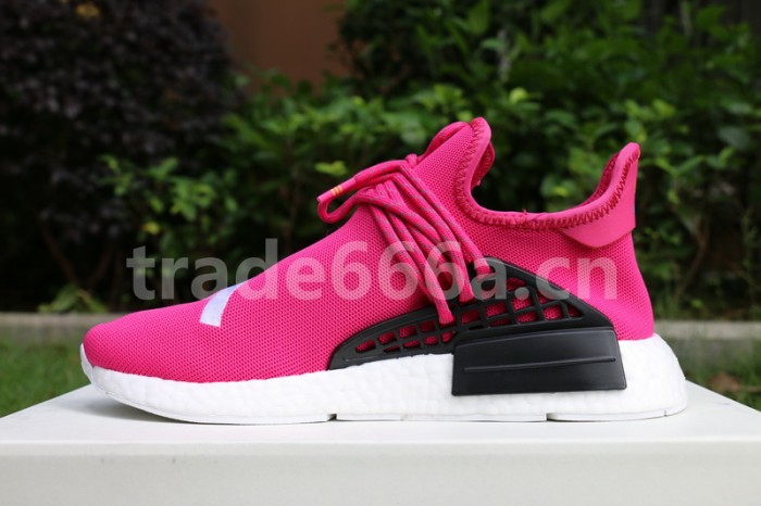 Authentic AD Human Race NMD x Pharrell Williams Pink