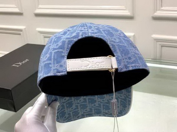 Dior Hats AAA-240