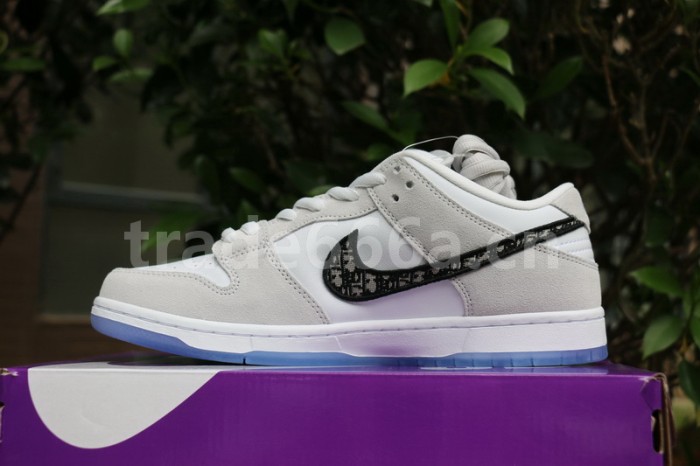 Authentic Dior x Nike Dunk Low SP