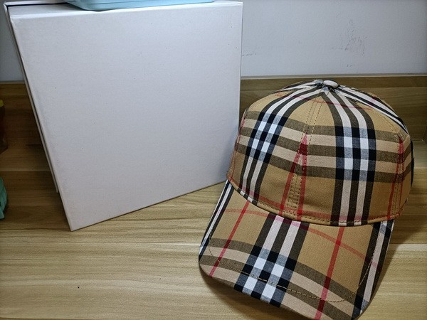 Burrerry Hats AAA-355