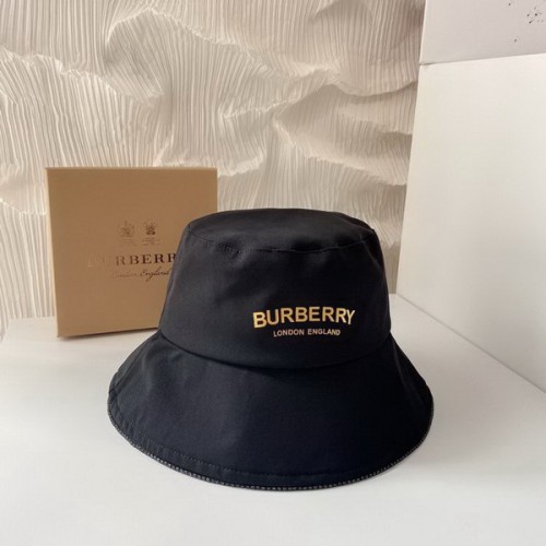 Burrerry Hats AAA-348
