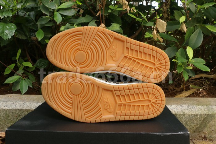 Authentic Air Jordan 1 Low CJ4152-101