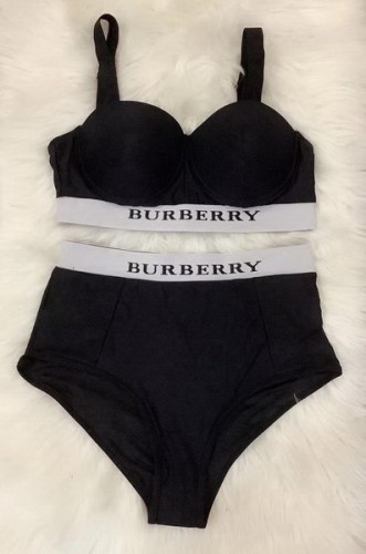 Burberry Bikini-049(S-XL)